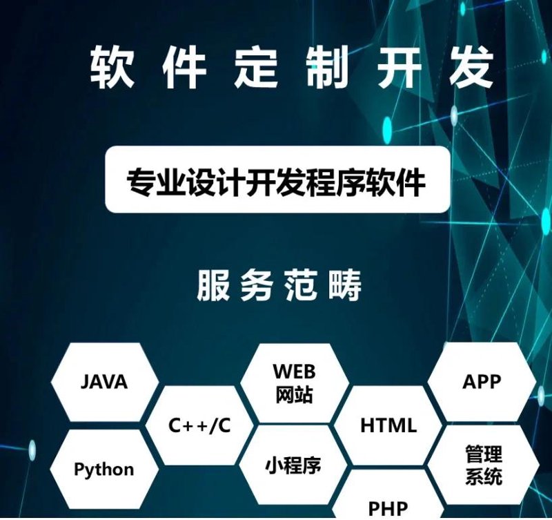 技术服务费开票大类归属：软件企业合规的“分水岭”决策深度剖析